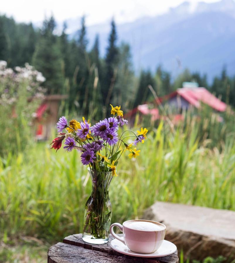 Heather Mountain Lodge Rogers Pass Esterno foto