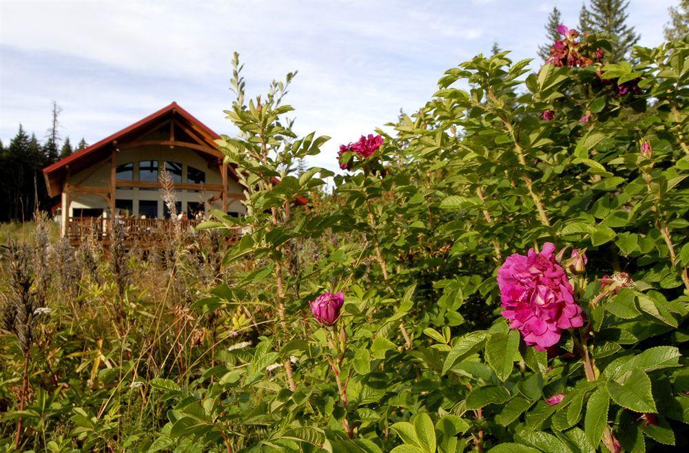 Heather Mountain Lodge Rogers Pass Esterno foto